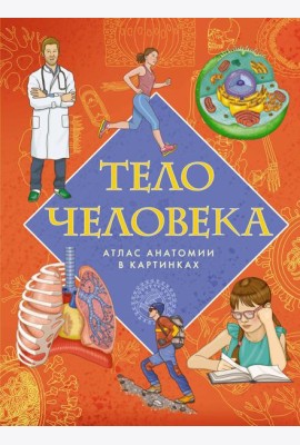 Тело человека. Атлас анатомии в картинках