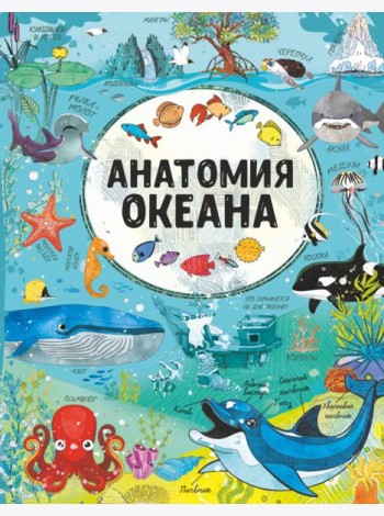 Анатомия океана