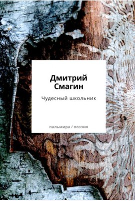 Чудесный школьник: сборник стихотворений