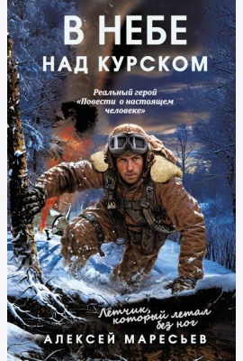 В небе над Курском. Реальный герой 