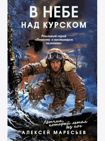 В небе над Курском. Реальный герой 