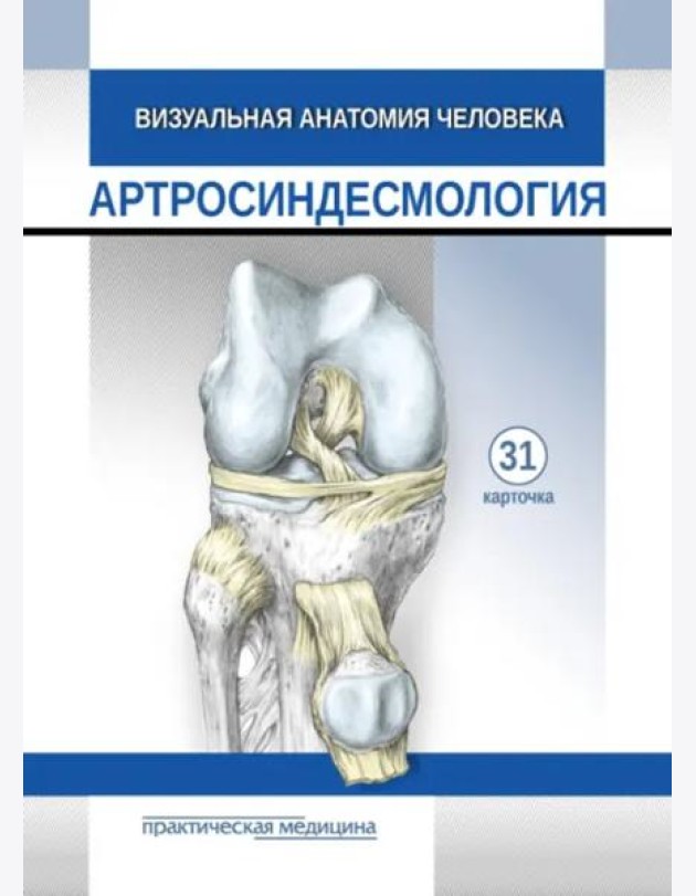 Визуальная анатомия человека. Артросиндесмология. Карточки, 31 штука
