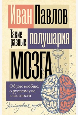 Такие разные полушария мозга. Об уме вообще, о русском уме в частности