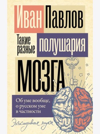 Такие разные полушария мозга. Об уме вообще, о русском уме в частности