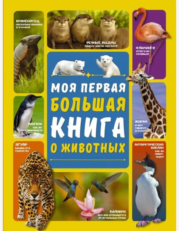 Моя первая большая книга о животных