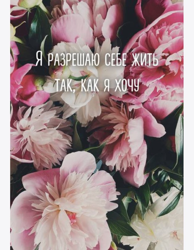Я разрешаю себе жить так, как я хочу. Ежедневник недатированный (А5, 72 л.)