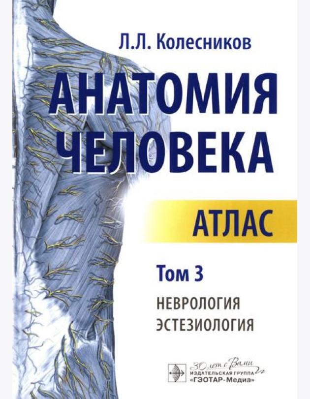 Анатомия человека. Атлас. В 3 томах. Том 3. Неврология, эстезиология