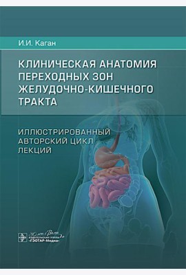 Клиническая анатомия переходных зон желудочно-кишечного тракта. Иллюстрированный авторский цикл лекций