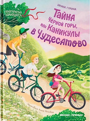 Тайна Черной горы, или Каникулы в Чудесатово