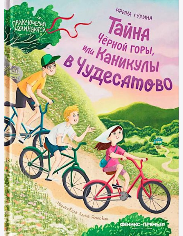 Тайна Черной горы, или Каникулы в Чудесатово