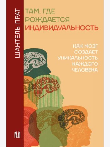 Там, где рождается индивидуальность. Как мозг создает уникальность каждого человека