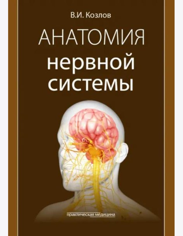 Анатомия нервной системы. Учебное пособие