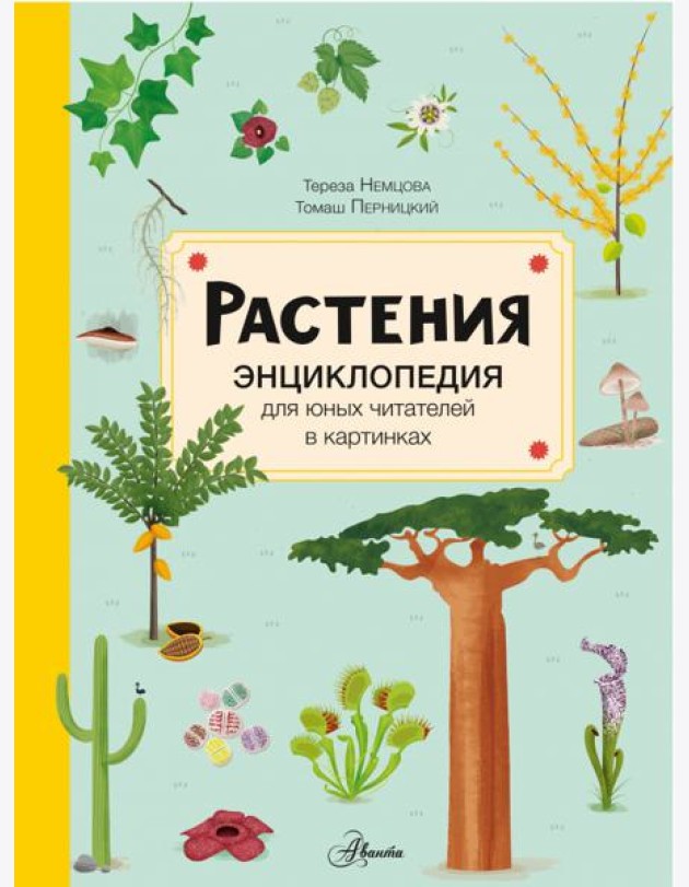 Растения