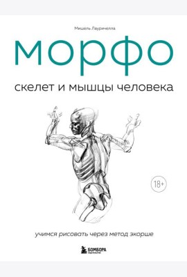 МОРФО. Скелет и мышцы человека. Анатомия для художников