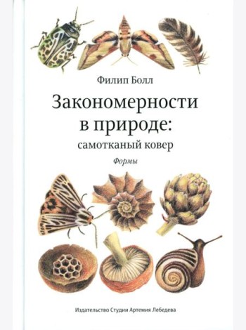Закономерности в природе: самотканый ковер: В 3 ч.: Ч. 1: Формы