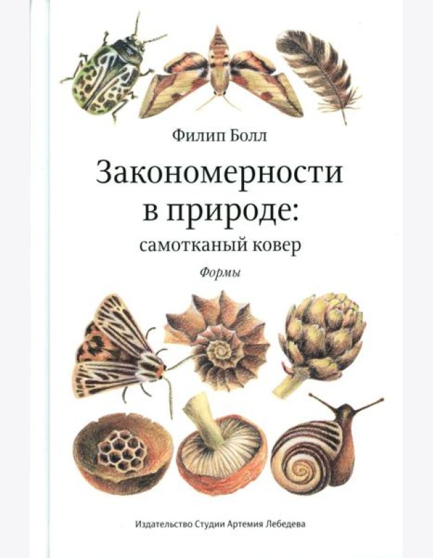 Закономерности в природе: самотканый ковер: В 3 ч.: Ч. 1: Формы