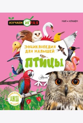 Птицы
