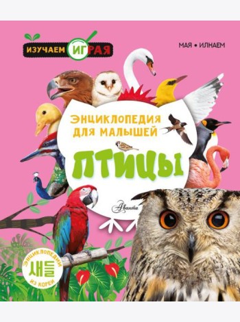 Птицы