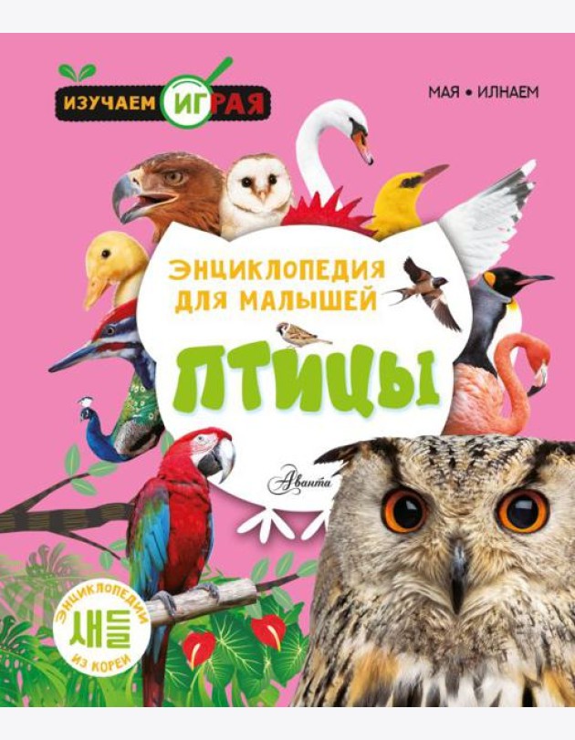 Птицы