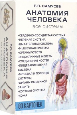 Анатомия человека. 80 карточек. Все системы