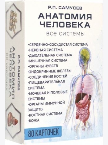 Анатомия человека. 80 карточек. Все системы