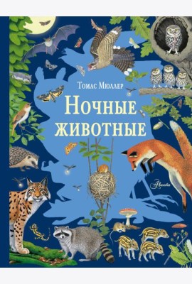 Ночные животные