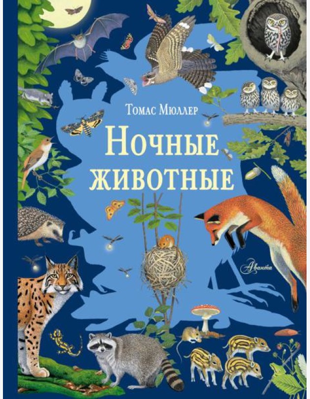 Ночные животные