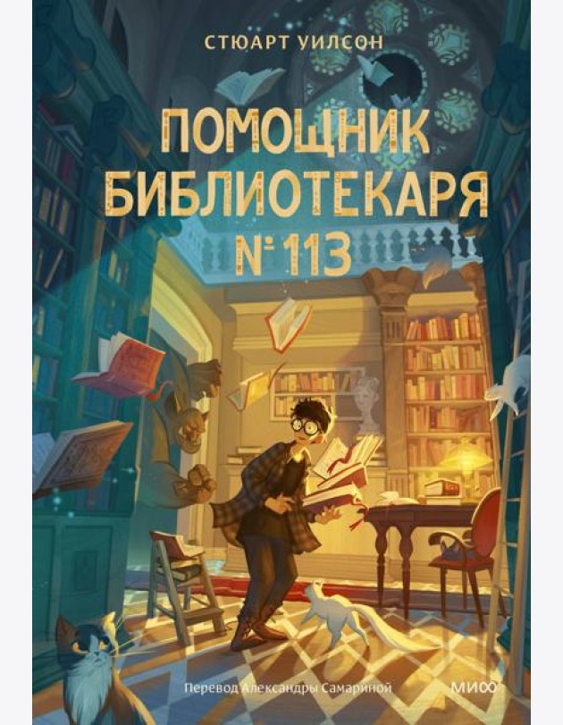 Помощник библиотекаря № 113