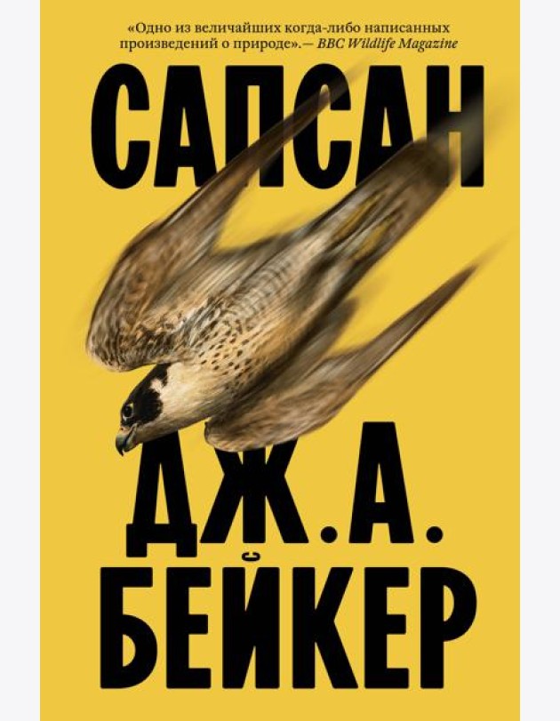Сапсан