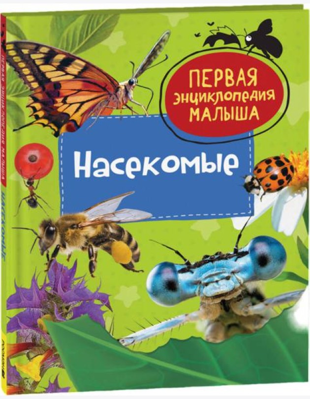 Насекомые. Первая энциклопедия малыша