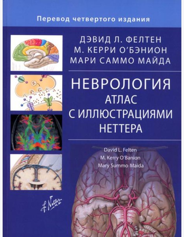 Неврология. Атлас с иллюстрациями Неттера. Фелтен Д.Л., О'Бэнион М.К., Майда М.С.