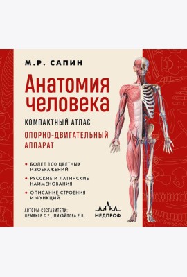 Анатомия человека. Компактный атлас. Опорно-двигательный аппарат