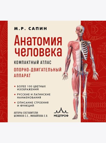 Анатомия человека. Компактный атлас. Опорно-двигательный аппарат