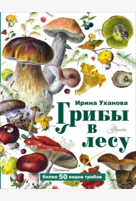 Грибы в лесу