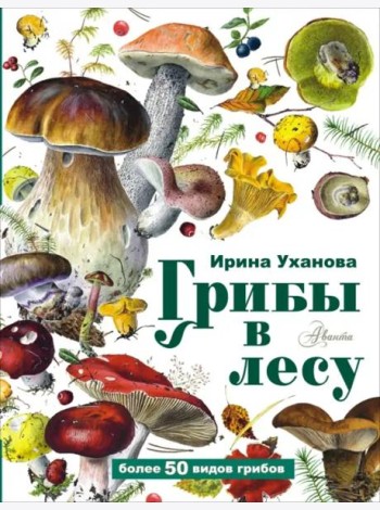 Грибы в лесу