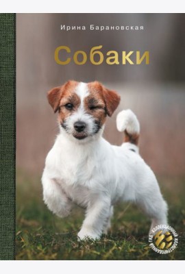 Собаки