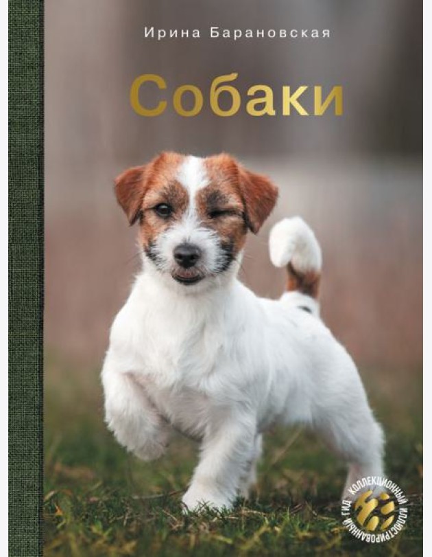 Собаки