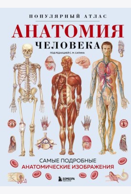 Анатомия человека. Популярный атлас. Самые подробные анатомические изображения