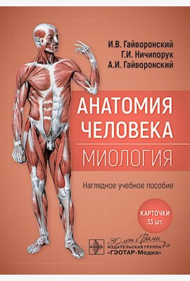 Анатомия человека. Миология. Карточки : наглядное учебное пособие