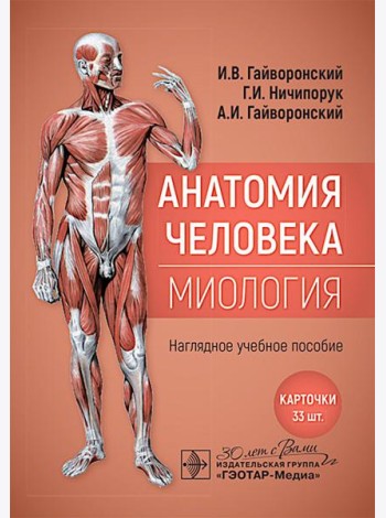 Анатомия человека. Миология. Карточки : наглядное учебное пособие