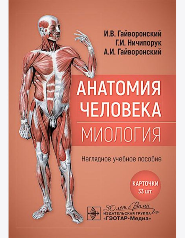 Анатомия человека. Миология. Карточки : наглядное учебное пособие