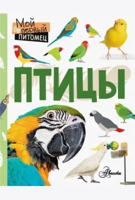 Птицы
