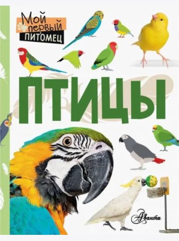 Птицы