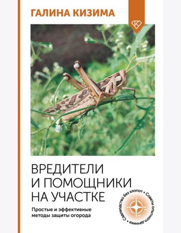 Вредители и помощники на участке. Простые и эффективные методы защиты огорода