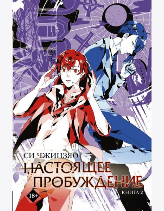 Настоящее пробуждение. Real Awakening. Книга 2