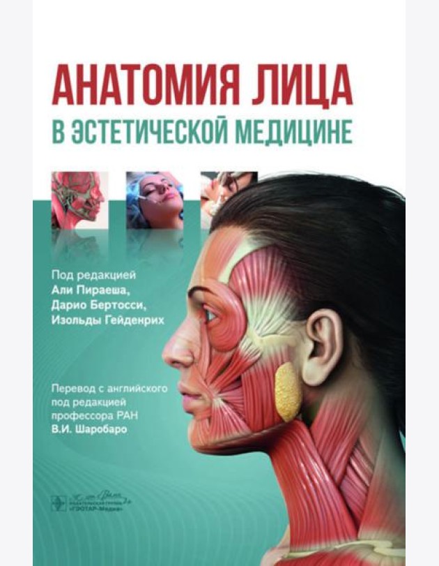 Анатомия лица в эстетической медицине