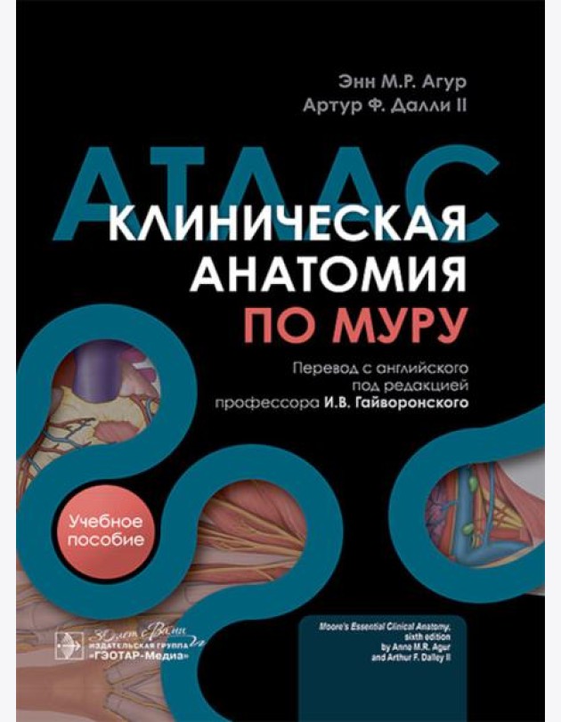Клиническая анатомия по Муру: Учебное пособие, атлас