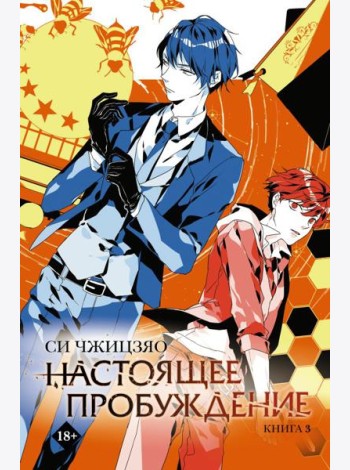 Настоящее пробуждение. Real Awakening. Книга 3