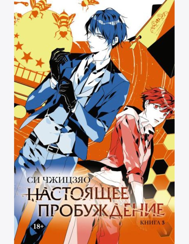 Настоящее пробуждение. Real Awakening. Книга 3