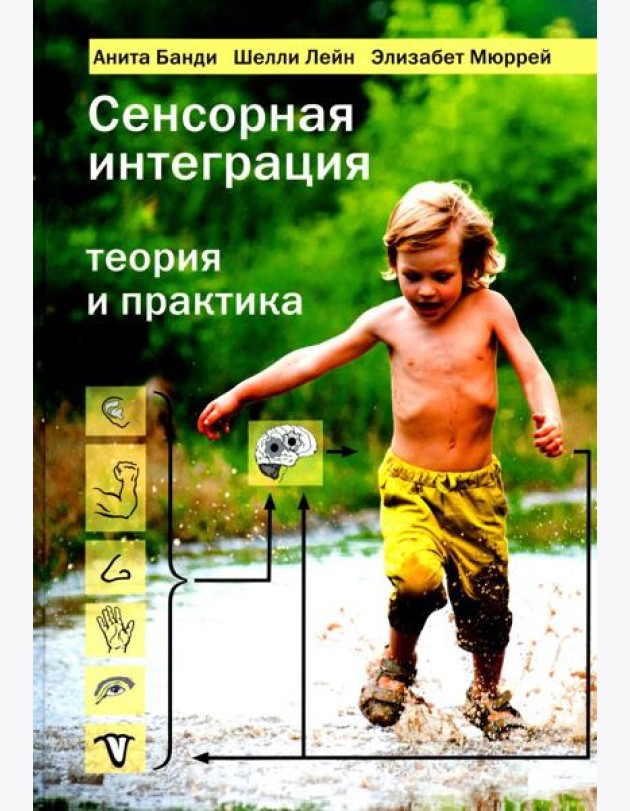 Сенсорная интеграция. Теория и практика
